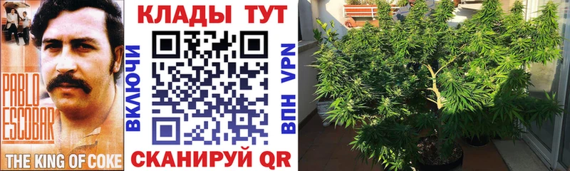 Купить наркотик аптеки Цоци-Юрт A PVP Гашиш АМФ Бошки Шишки