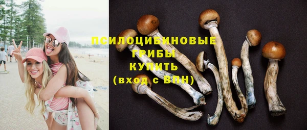 эйфоретик Алексин