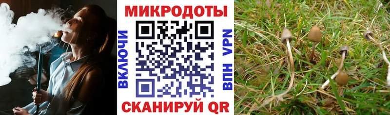 купить сайты Цоци-Юрт Галлюциногенные грибы Cubensis